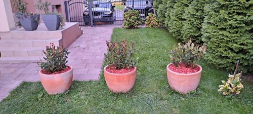 Mali detalji koji čine dvorište ljepšim