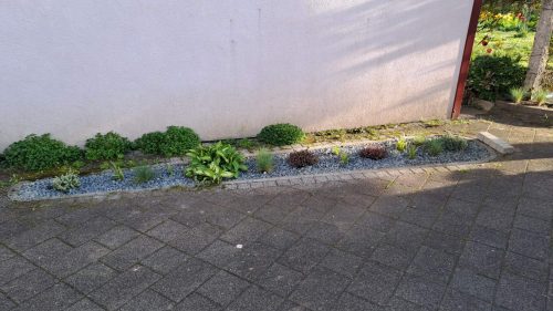 Mala cvjetna gredica, koja će kada biljke narastu biti predivni mix oblika i boja…